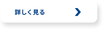 bnr_business_btn